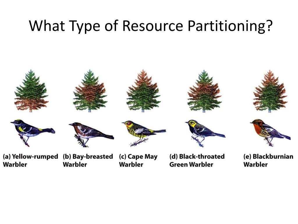 PPT - Lecture 5.4 ( ch 6) Competition, Symbiosis, Keystone Species ...