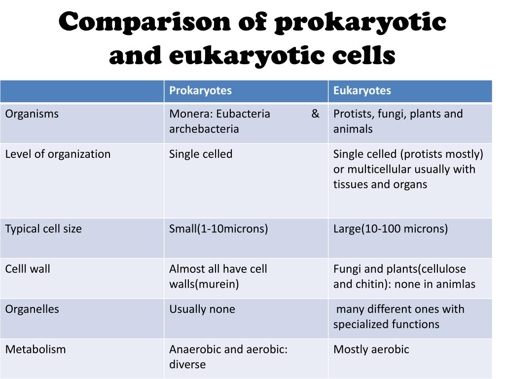 Compare between. Differences between eukaryotes and prokaryotes. Prokaryotic and eukaryotic Cells. Compare prokaryotic and eukaryotic Cells.. Prokaryotes and eukaryotes.