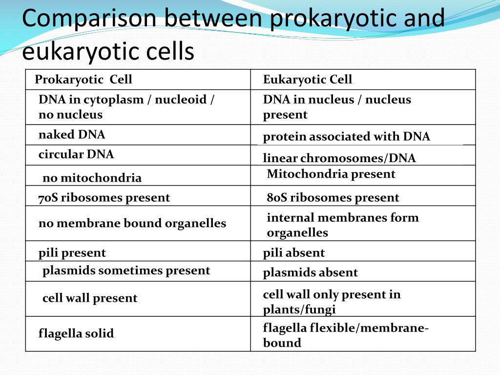 Compare between. Compare prokaryotic and eukaryotic Cells.. Prokaryotic and eukaryotic Cells. Differences between prokaryotic and eukaryotic Cells. Prokaryotic Cell and eukaryotic Cell.