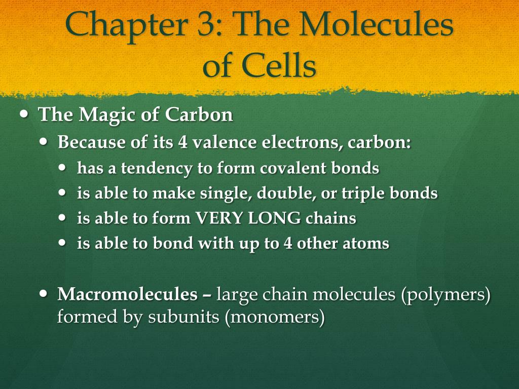 PPT - Honors Biology: Final Exam Review PowerPoint Presentation, free ...