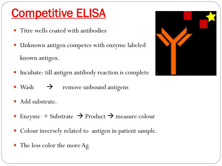 PPT Antigen antibody reactions PowerPoint Presentation ID1929992