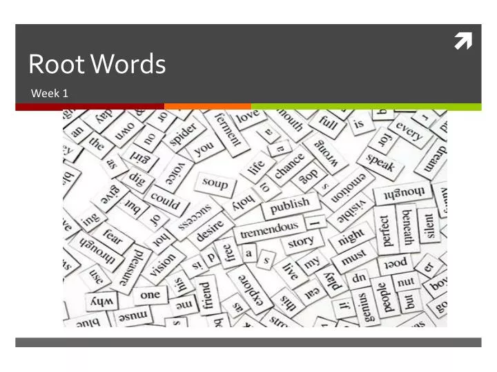 PPT  Root Words PowerPoint Presentation, free download  ID1930477