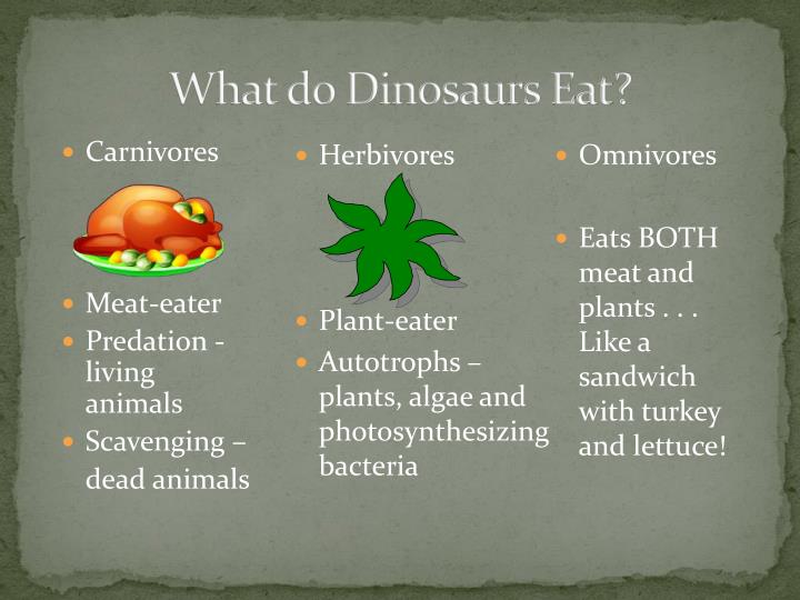 PPT - A Dinosaurâs Life PowerPoint Presentation - ID:1931043