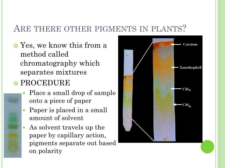 PPT - Warm up: PowerPoint Presentation - ID:1931050