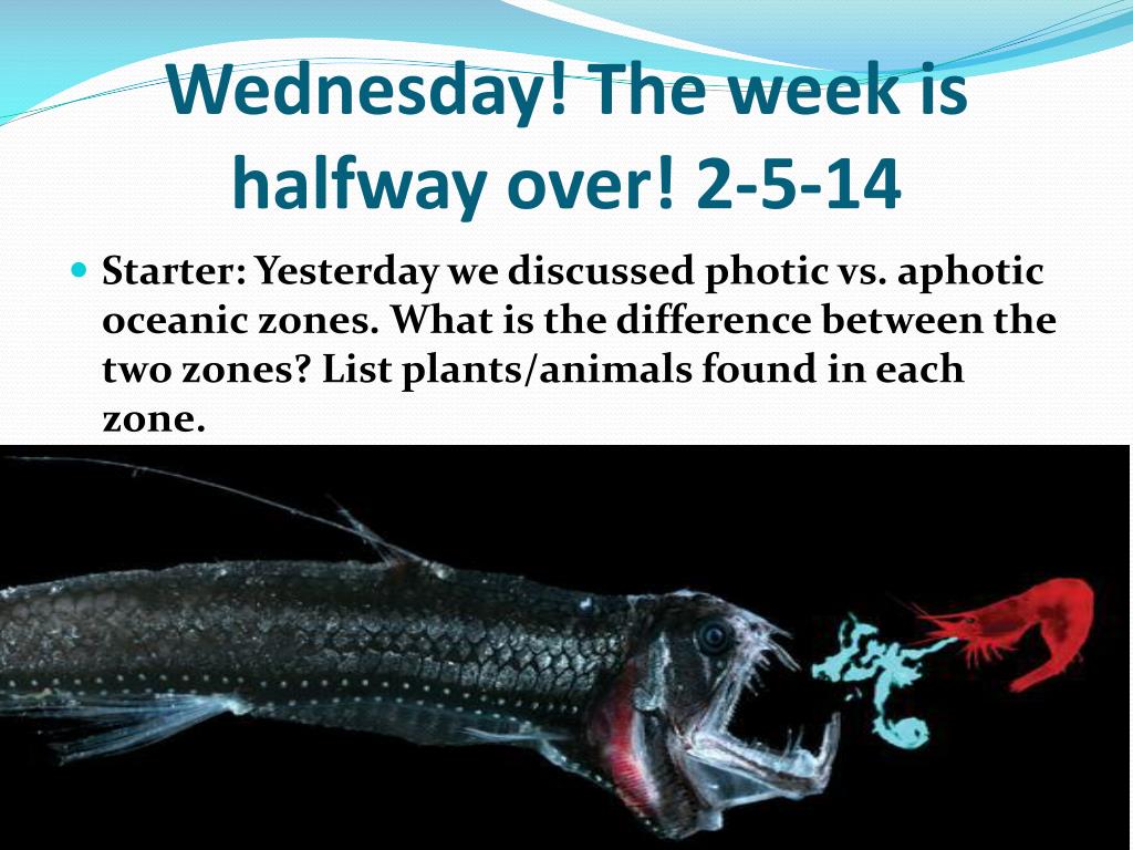 PPT - Wednesday! The week is halfway over! 2-5-14 PowerPoint Presentation - ID:1931520 PPT - Wednesday! The week is halfway over! 2-5-14 PowerPoint Presentation - ID:1931520