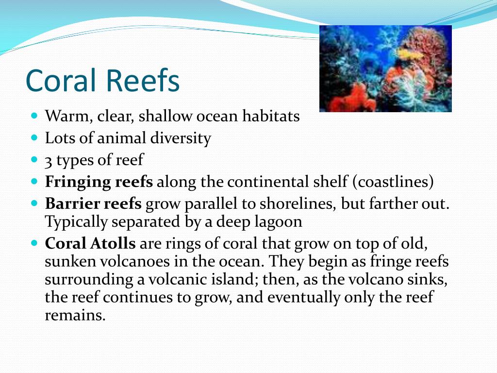 PPT - Marine Habitats PowerPoint Presentation, free download - ID:1931839