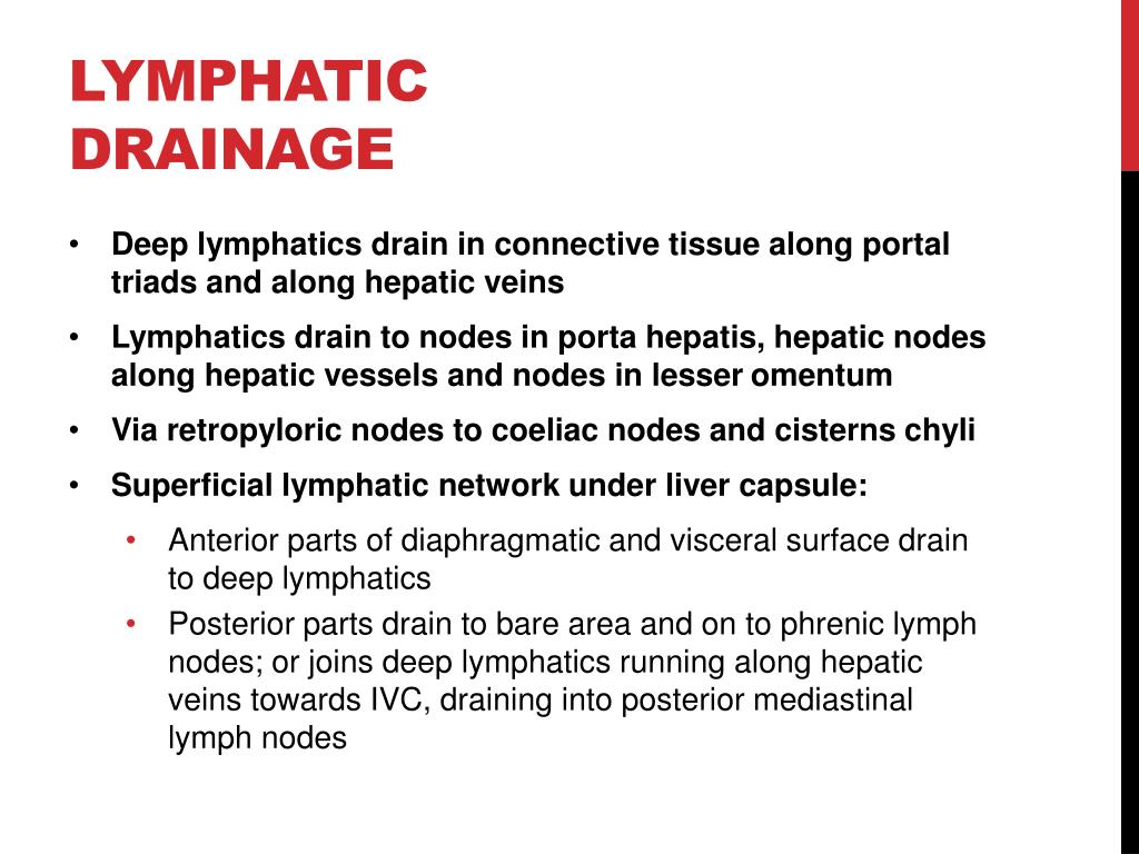 lymphatic drainage of liver