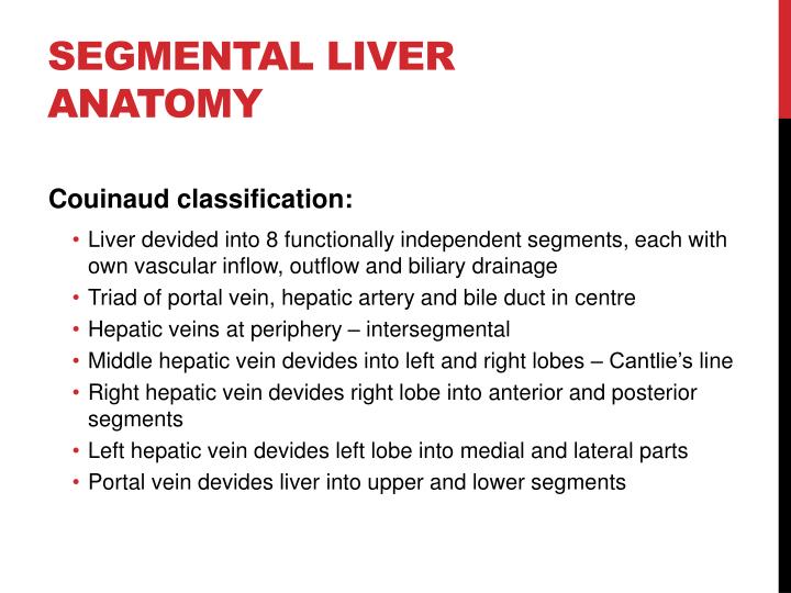 segmental anatomy of liver pdf