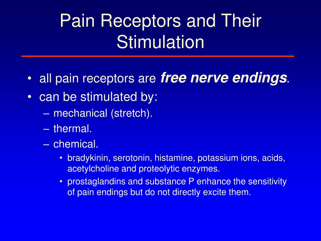 Physiology of the sensory system PowerPoint Presentation, free ... Biology Diagrams