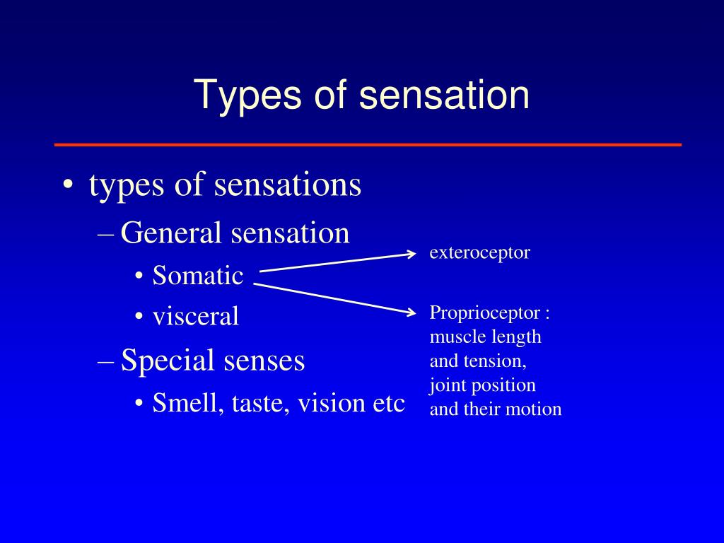 PPT - Physiology of the sensory system PowerPoint Presentation, free