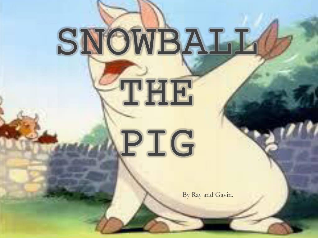 snowball pig animal farm