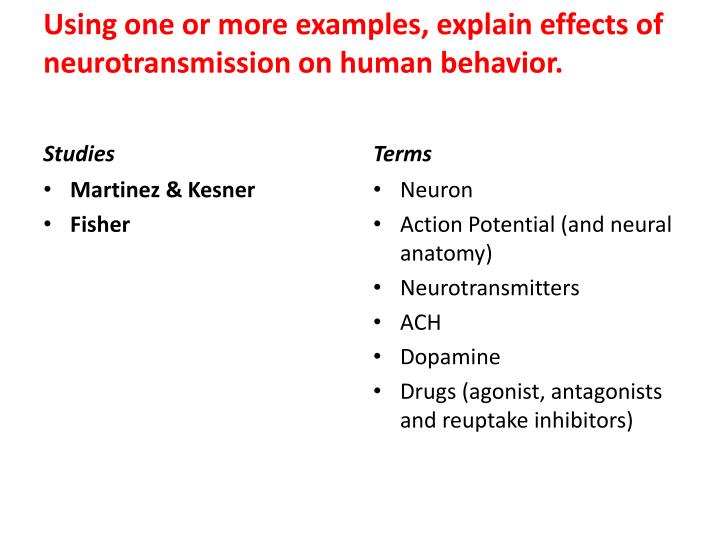effect of neurotransmitters on human behavior