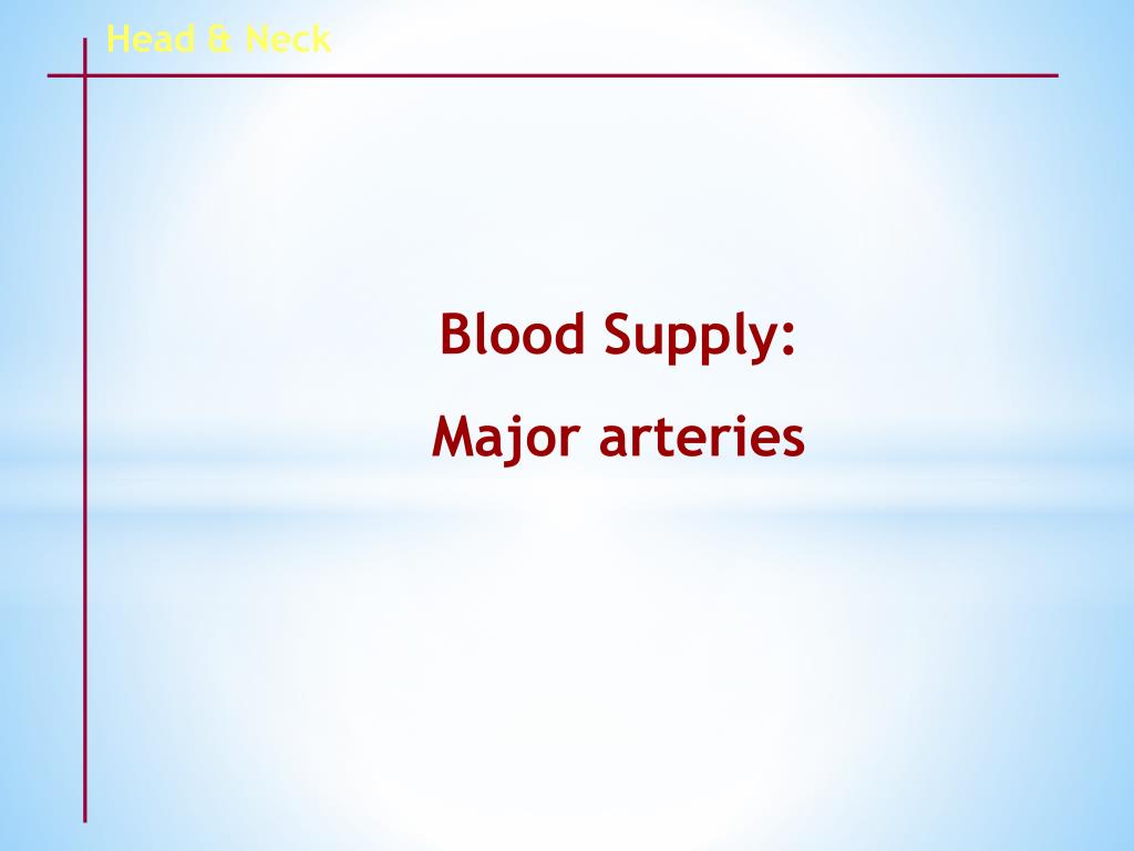 PPT - Arterial Supply of head and Neck PowerPoint Presentation, free ...