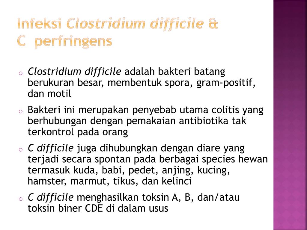 Токсин клостридии диффициле. Питание при клостридии диффициле. Экспресс-тест на Clostridium difficile. Характеристика клостридии диффициле.