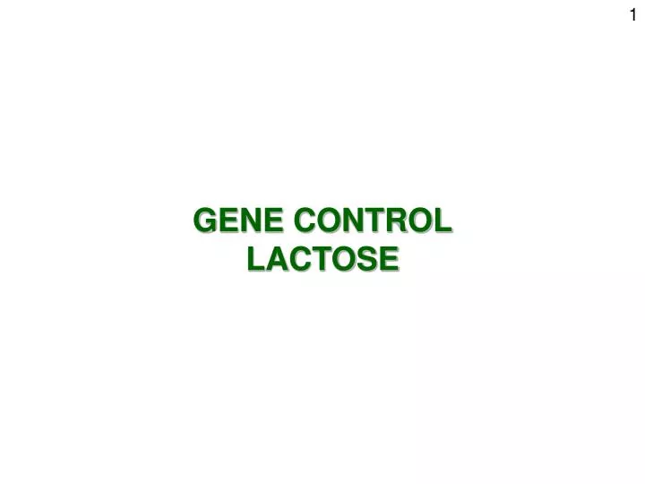 PPT GENE CONTROL LACTOSE PowerPoint Presentation, free download ID
