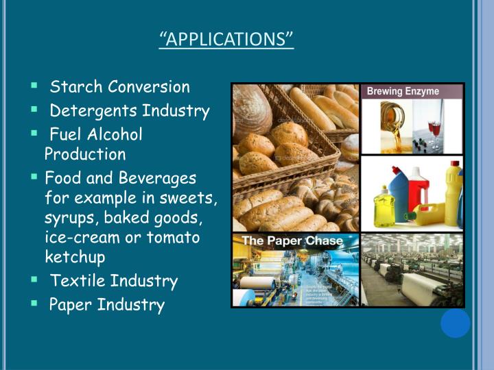 PPT PRODUCTION AND APPLICATION OF AMYLASE PowerPoint Presentation