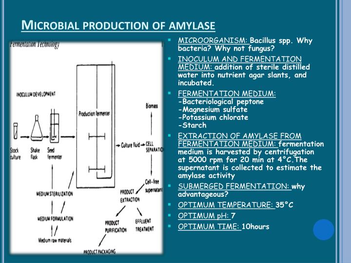 Flow Chart Of Amylase Production