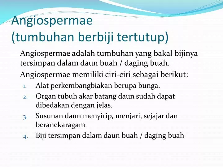 PPT - Angiospermae ( tumbuhan berbiji tertutup ) PowerPoint