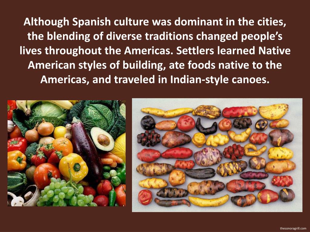 PPT - Spanish and Portuguese Colonization of the Americas PowerPoint ...