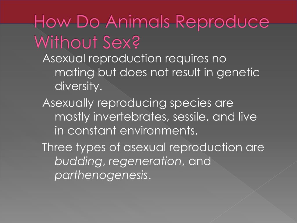 PPT - How Do Animals Reproduce Without Sex? PowerPoint Presentation, free download - ID:1937169 PPT - How Do Animals Reproduce Without Sex? PowerPoint Presentation, free download - ID:1937169
