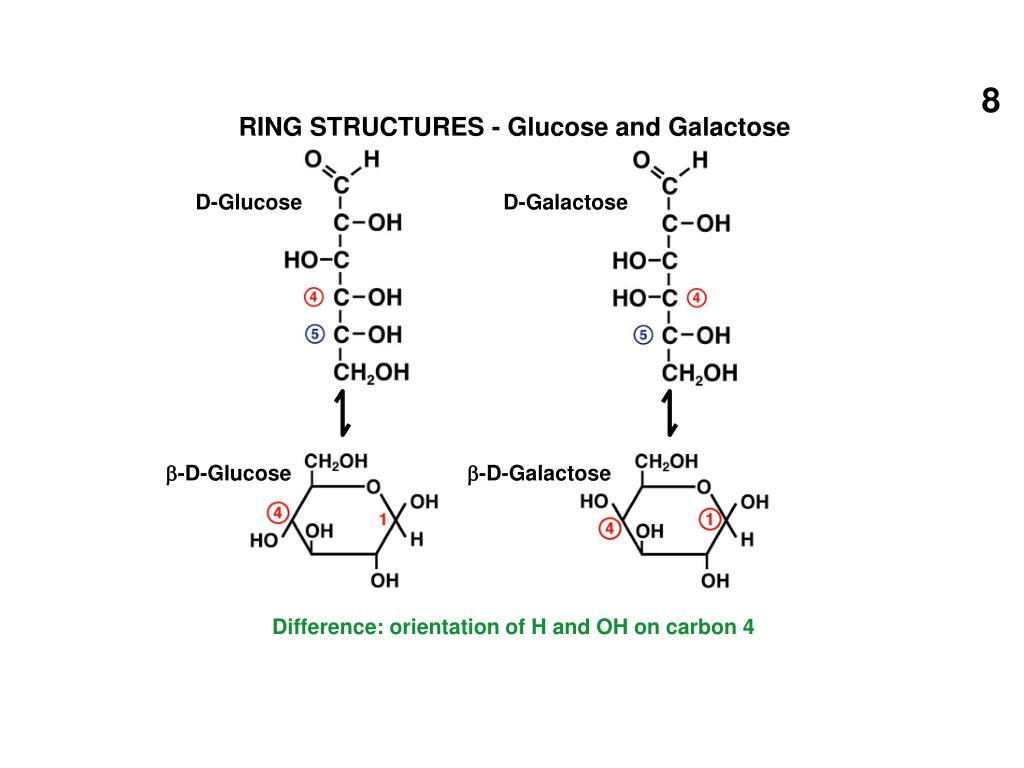 Cyclic Structures of Glucose and Fructose | Filo