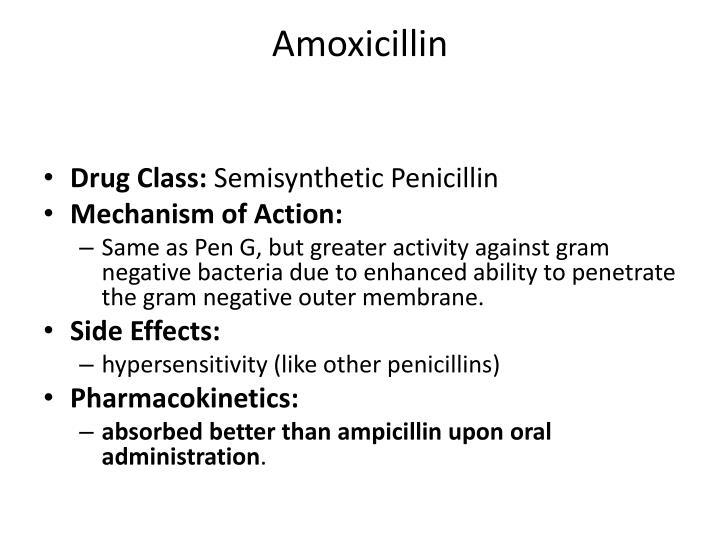 ppt beta lactamase inhibitors powerpoint presentation id 1937995 penicillin other drugs in same class