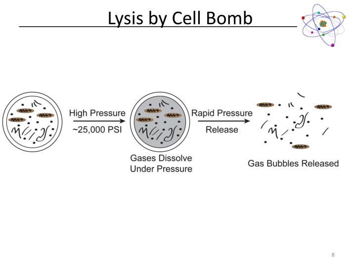 PPT Biochemistry Lab PowerPoint Presentation ID1939571