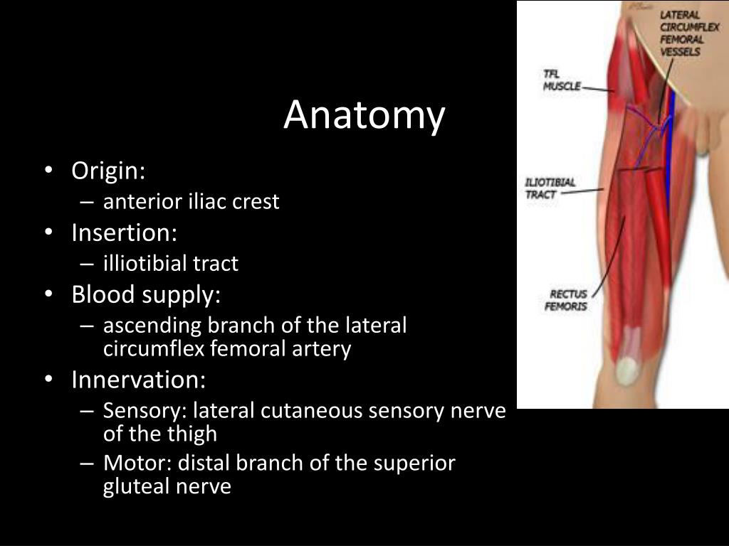 PPT Tensor Fascia Lata Rectus Femoris Gracilis Flaps PowerPoint 