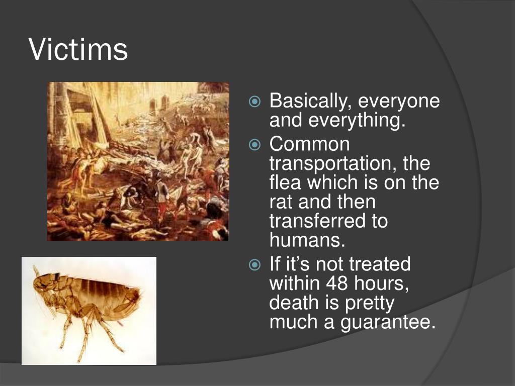 PPT - Yersinia Pestis AKA, THE plague PowerPoint Presentation, free ...