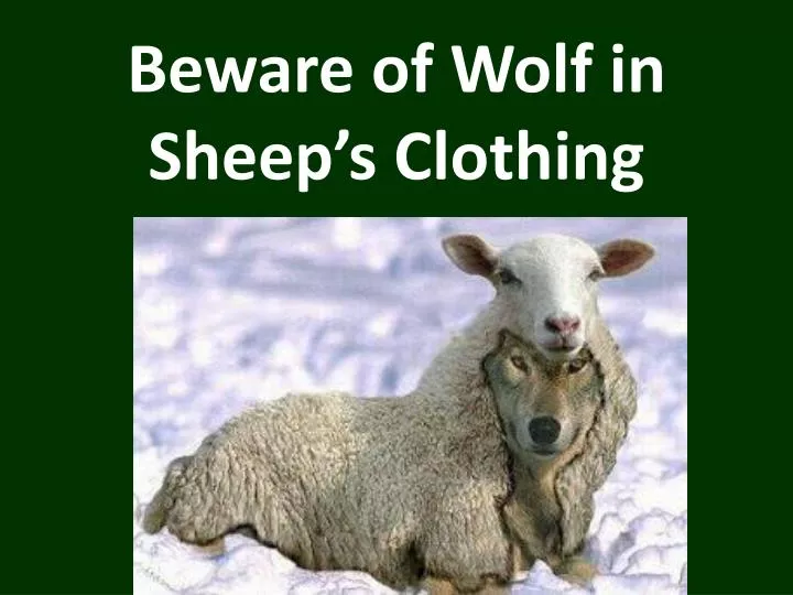 beware of wolf in sheep s clothing n.