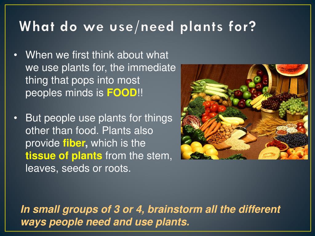 Ppt Plants And People Powerpoint Presentation Free Download Id1940313