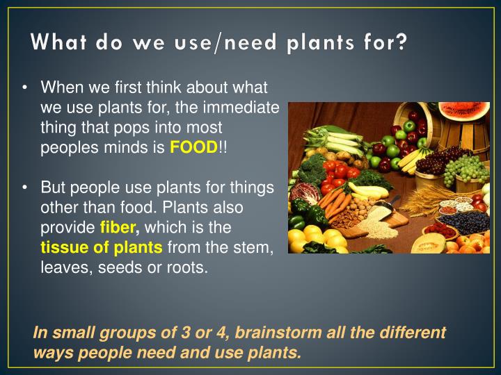 Ppt Plants And People Point Presentation Id 1940313 What Do We Use Need Plants For