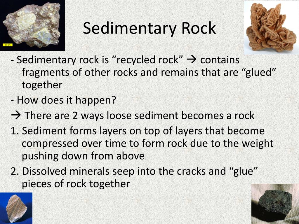 PPT - Sedimentary Rocks PowerPoint Presentation, free download - ID:1940492