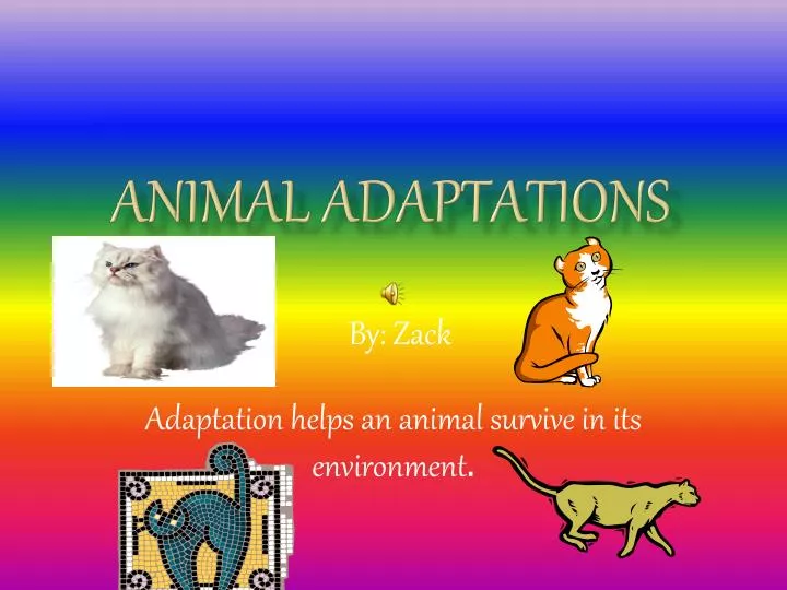 PPT - Animal Adaptations PowerPoint Presentation, free download - ID:1940784 PPT - Animal Adaptations PowerPoint Presentation, free download - ID:1940784