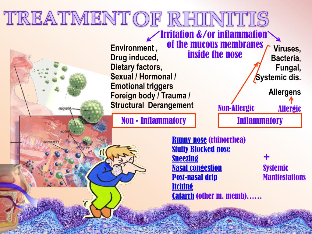 Ppt Rhinitis And Cough Powerpoint Presentation Free Download Id1942268