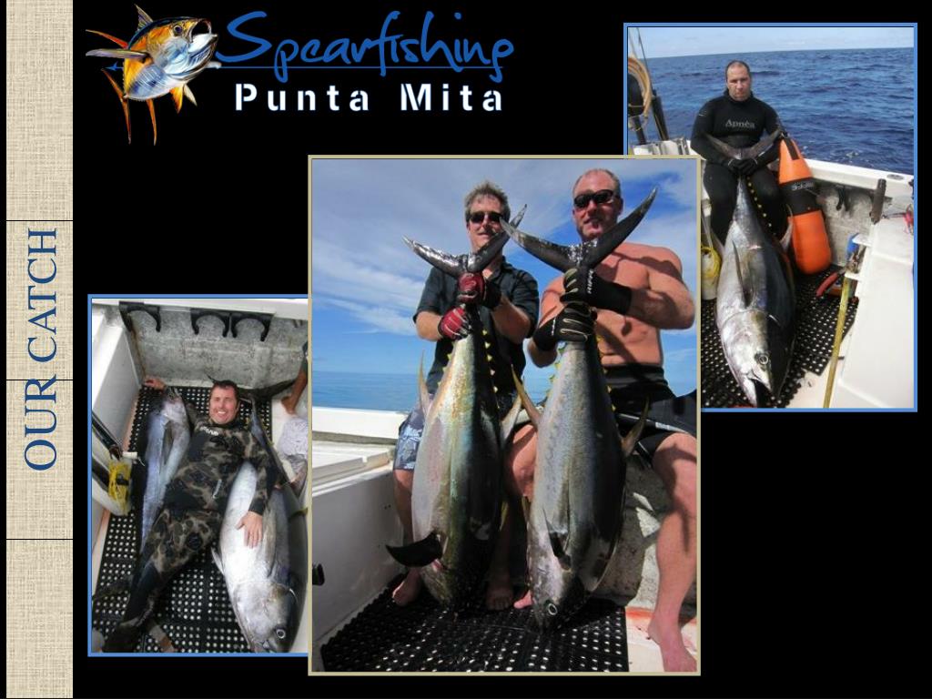 PPT - SPEARFISHING with Cameron Kirkconnell PowerPoint Presentation, free  download - ID:1942397