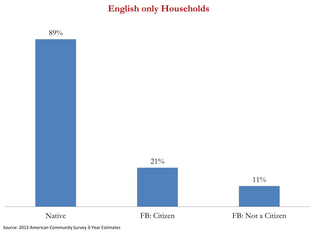 PPT - The Social and Economic Impacts of Immigration PowerPoint ...