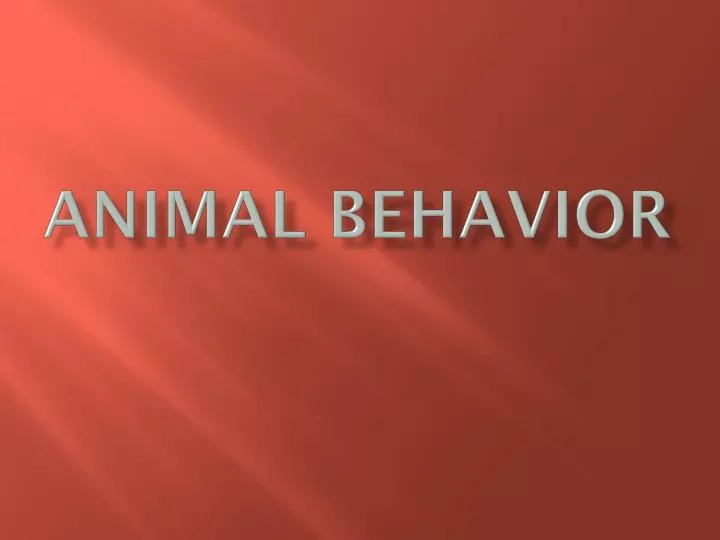 PPT - Animal Behavior PowerPoint Presentation, free download - ID:1942938