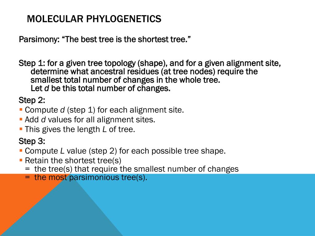what is molecular phylogeny in bioinformatics