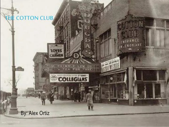 PPT The cotton club PowerPoint Presentation, free download ID1943901