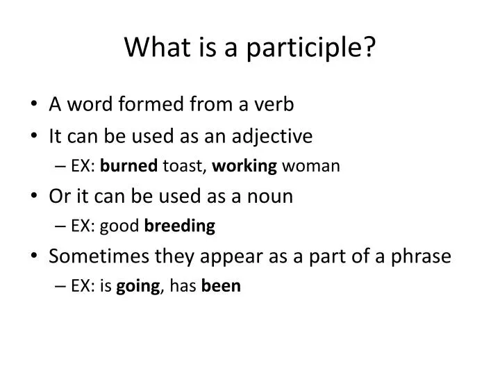 what is a participle n.