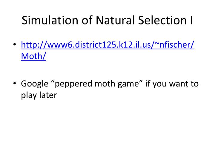 Natural Selection Moths Simulation Natural Selection Moths Simulation