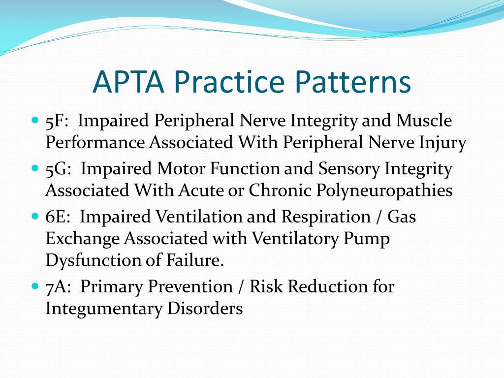 PPT PT 7326 Neuroanatomy Case Study VI PowerPoint Presentation, free