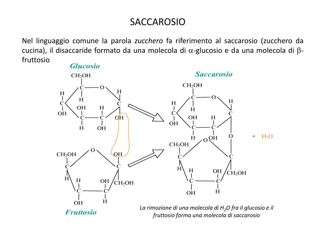 PPT Il Glucosio Non Solo Formule PowerPoint Presentation Free 