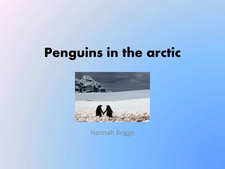penguins in the arctic n.