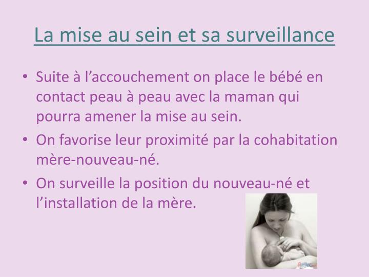 PPT L’Allaitement maternel PowerPoint Presentation ID1948643 — free download