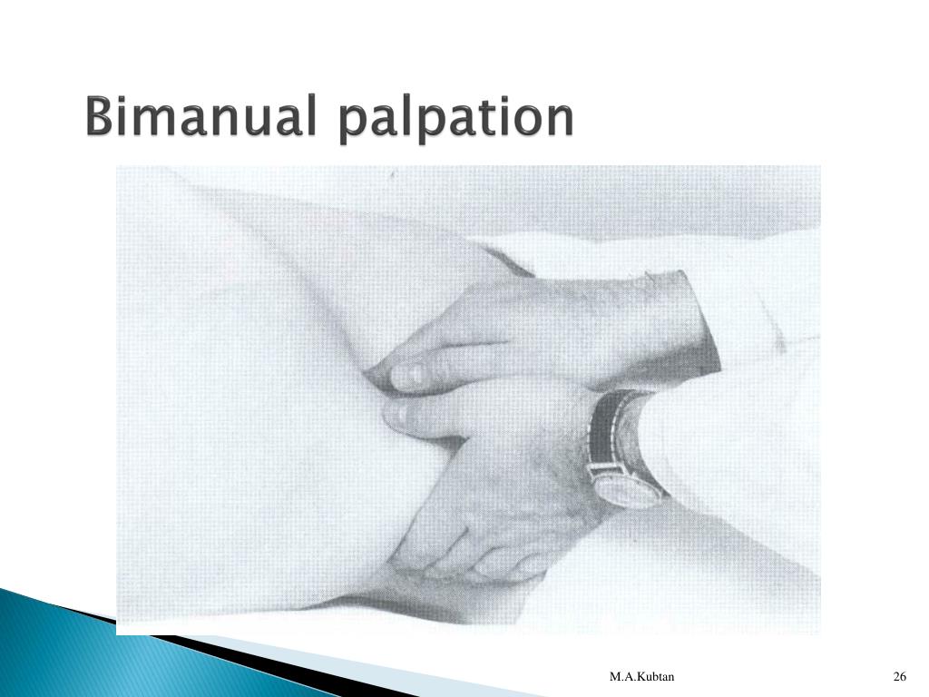 PPT Physical Examination M A Kubtan Md FRCS PowerPoint Presentation PPT Physical Examination M A Kubtan Md FRCS PowerPoint Presentation