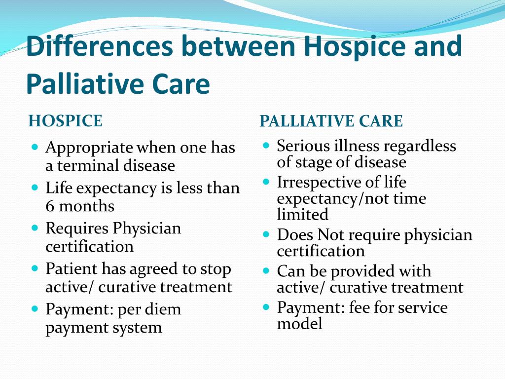 PPT End of life Care Palliative Care PowerPoint Presentation Free 