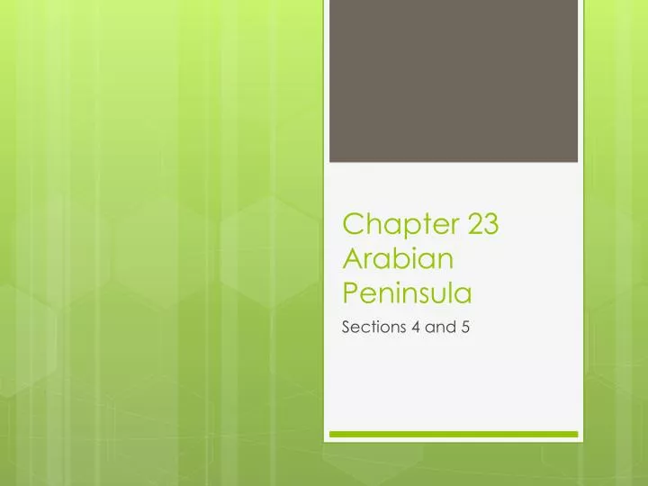 chapter 23 arabian peninsula n.