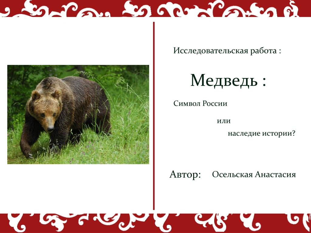Неофициальный символ россии медведь. Неофициальные символы России медведь. Медведь символ. Медведь символ России презентация. Мишка символ России.